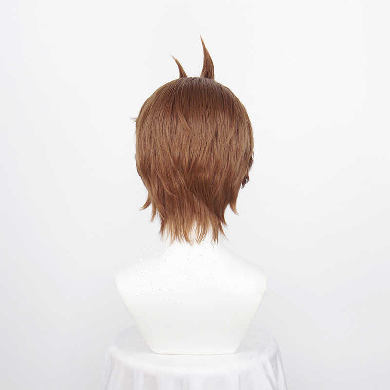 Ace Attorney Apollo Justice Cosplay Wig