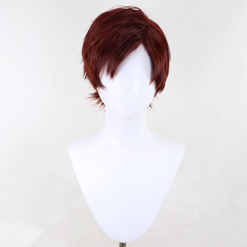 Castlevania: Nocturne Richter Belmont Cosplay Wig