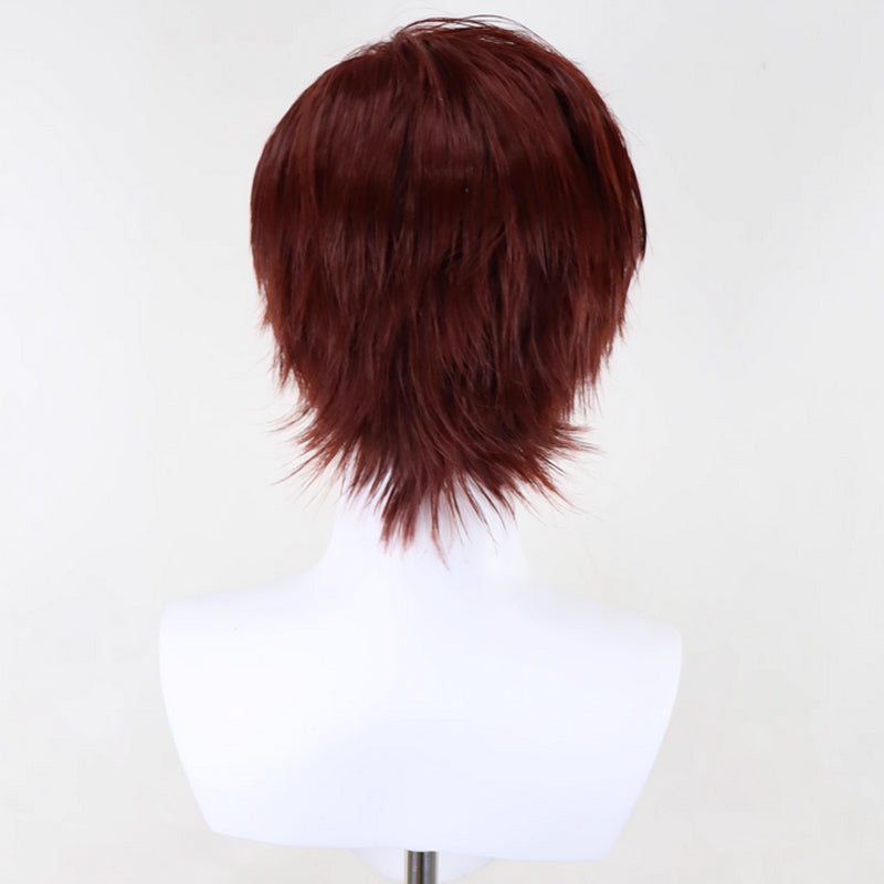 Castlevania: Nocturne Richter Belmont Cosplay Wig