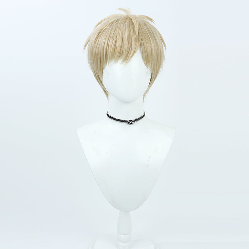 Delicious in Dungeon Laios Touden Cosplay Wig