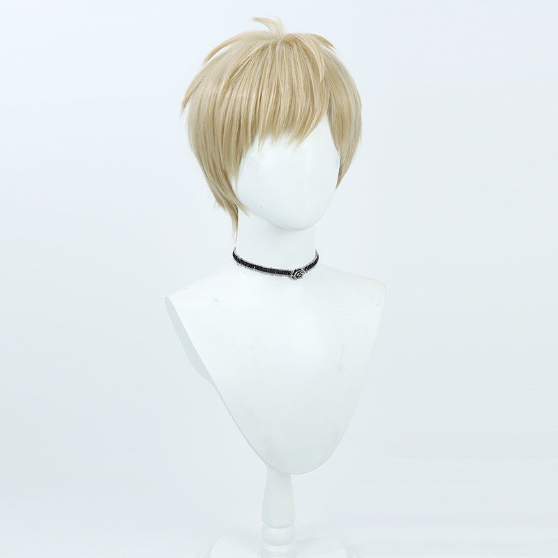 Delicious in Dungeon Laios Touden Cosplay Wig