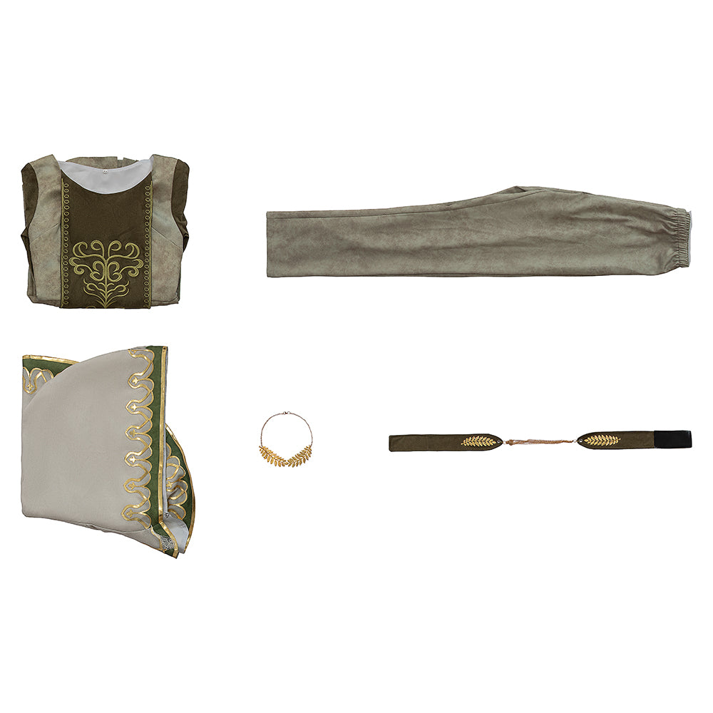 Dragon's Dogma 2 Doireann Cosplay Costume