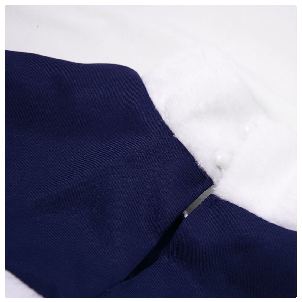 Fairy Tail Juvia Lockser Cosplay Costume