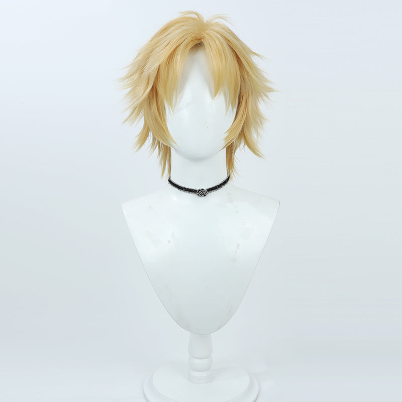 Final Fantasy X Tidus Cosplay Wig