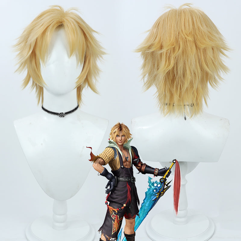 Final Fantasy X Tidus Cosplay Wig