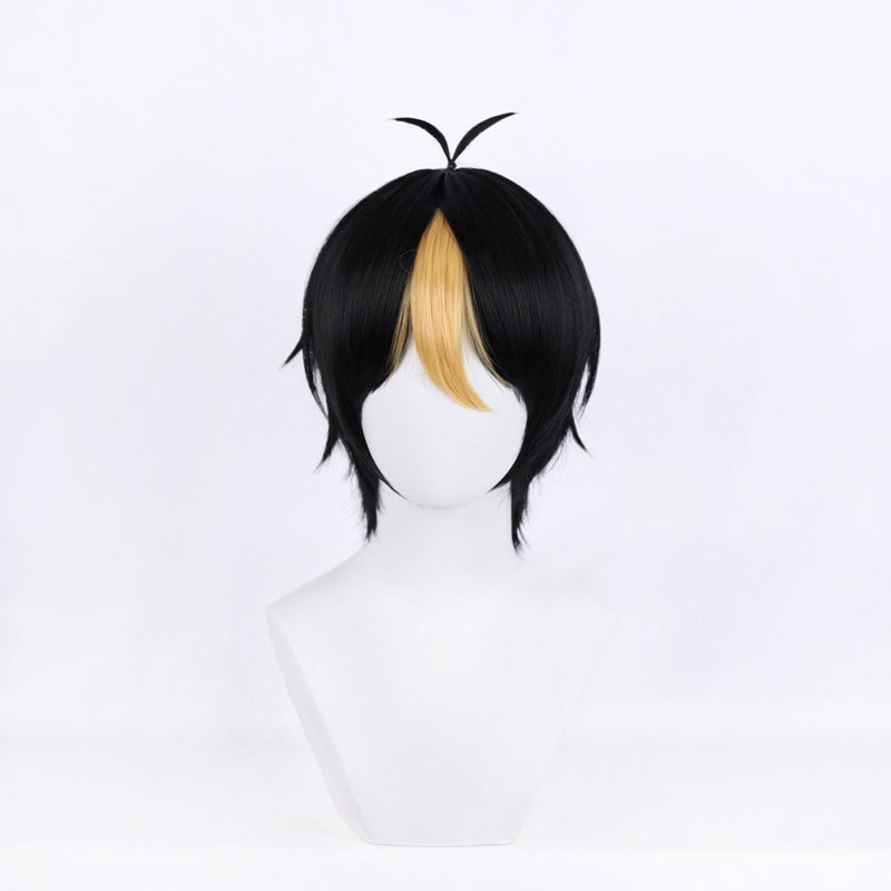 Haikyu!! Haikyuu!! Yu Nishinoya Cosplay Wig B Edition