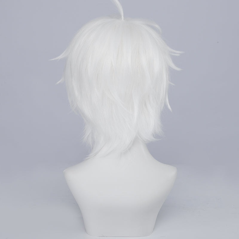 Honkai Impact 3rd Archives MANTIS Cosplay Wig