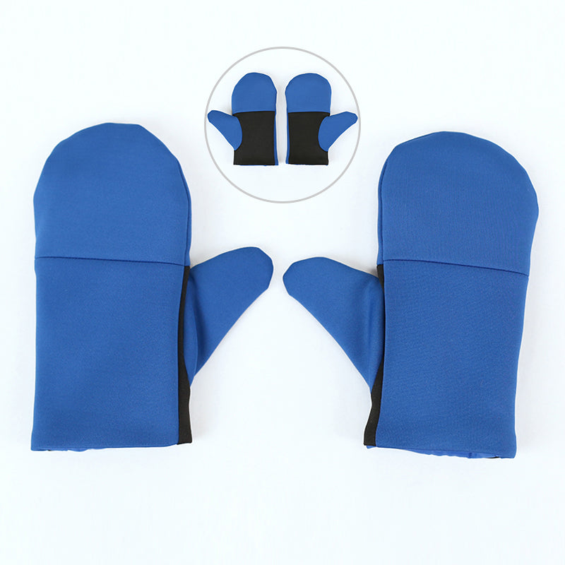 Scarlet and Violet Grusha Cosplay Costume