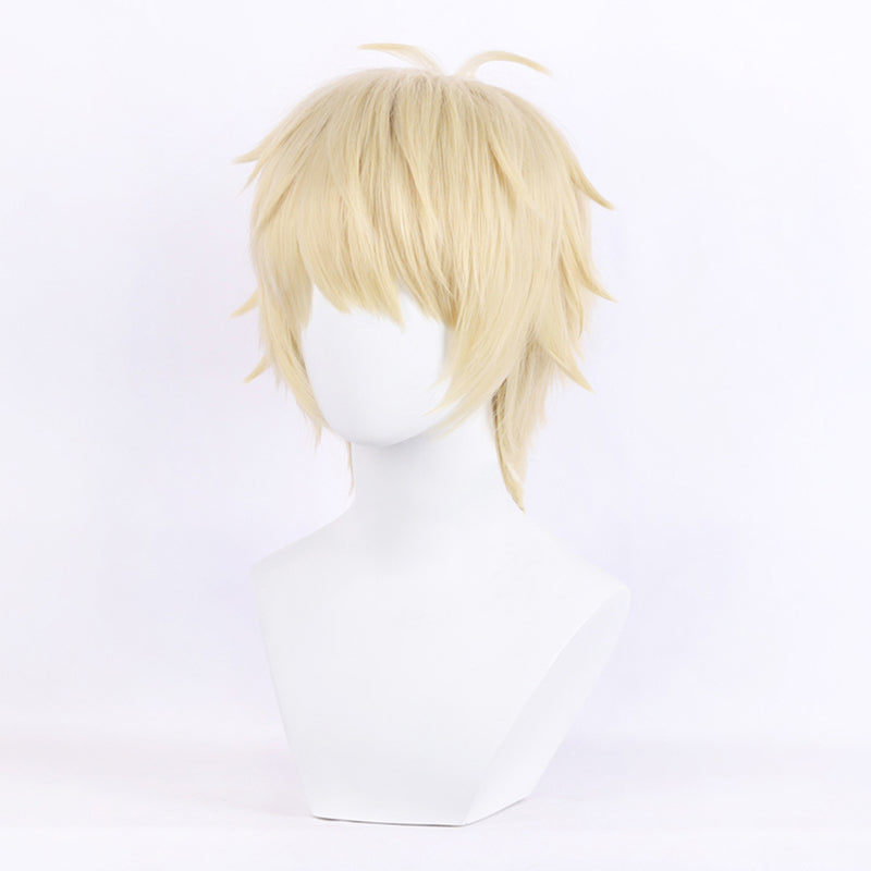 Skip and Loafer Sosuke Shima Cosplay Wig