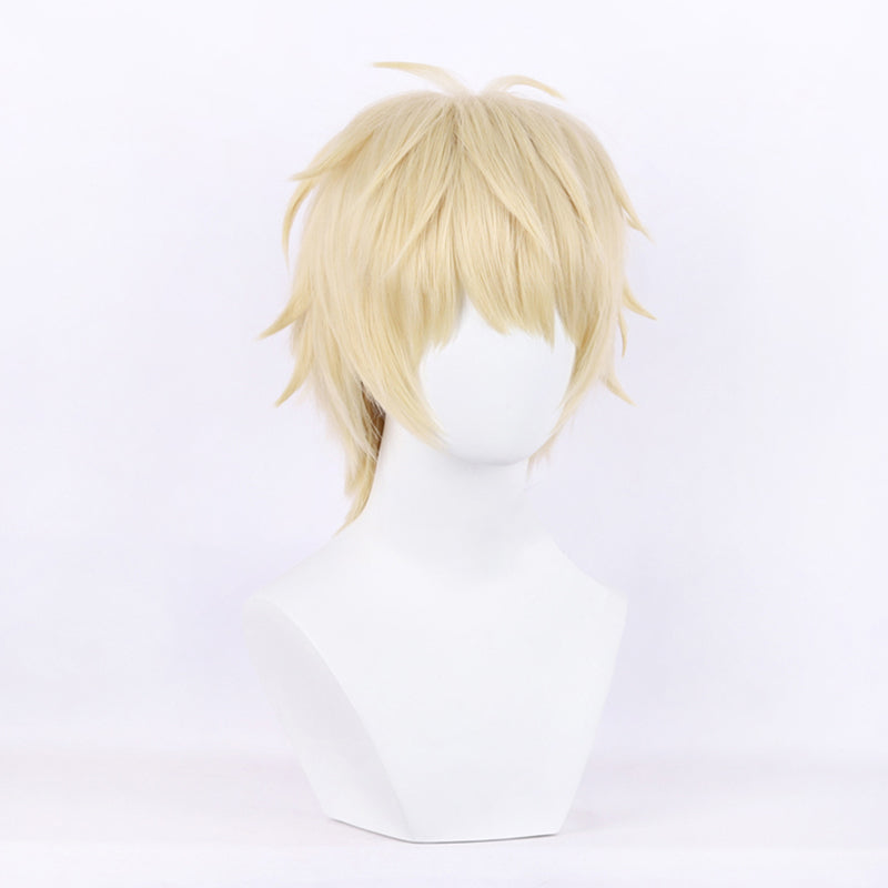 Skip and Loafer Sosuke Shima Cosplay Wig