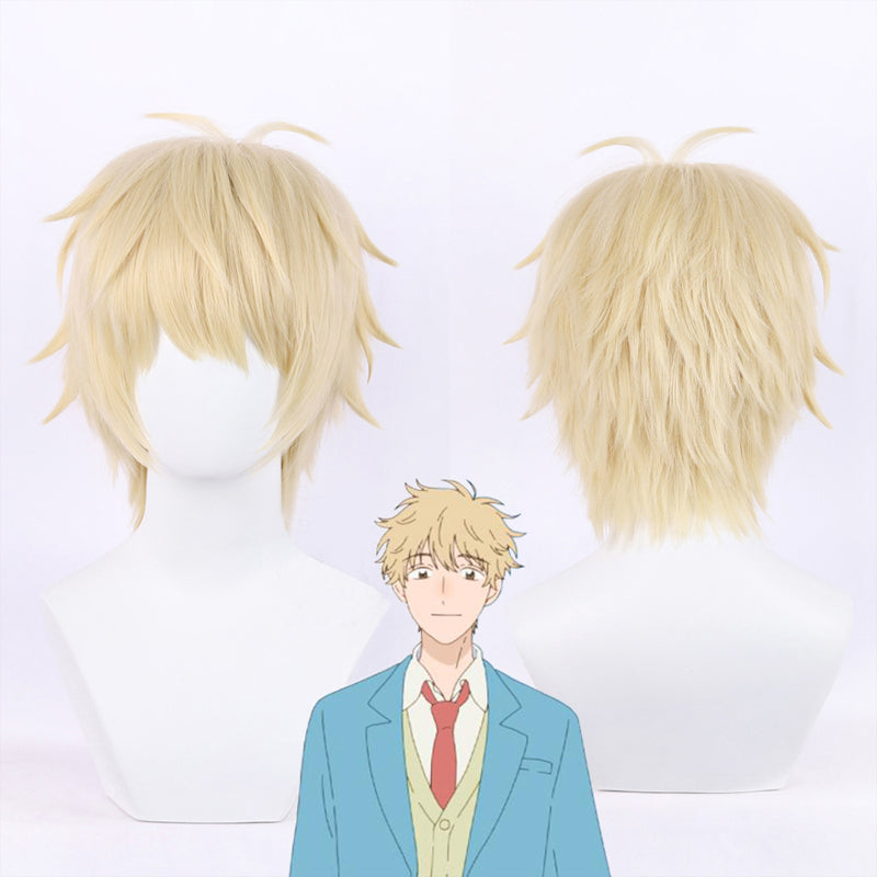 Skip and Loafer Sosuke Shima Cosplay Wig