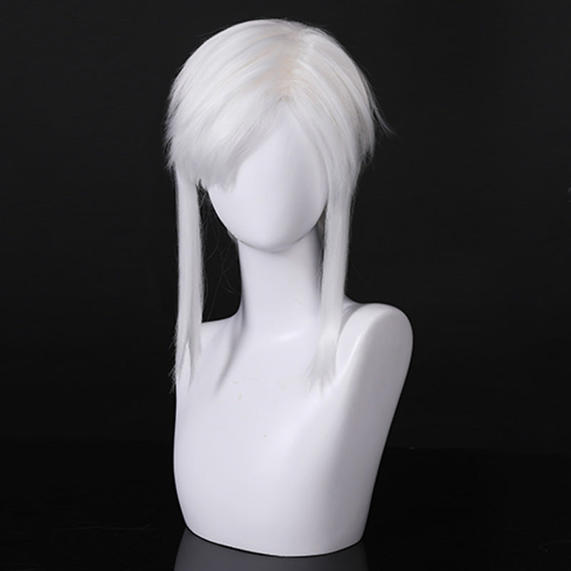 TLOZ: Tears Of The Kingdom Dark Link Cosplay Wig