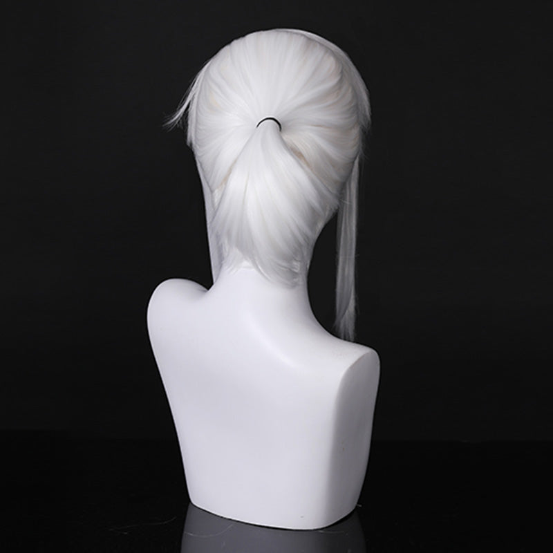 TLOZ: Tears Of The Kingdom Dark Link Cosplay Wig