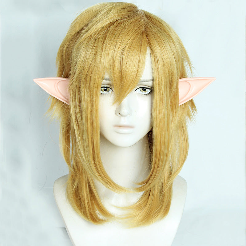 TLOZ: Tears of the Kingdom Link Cosplay Wig