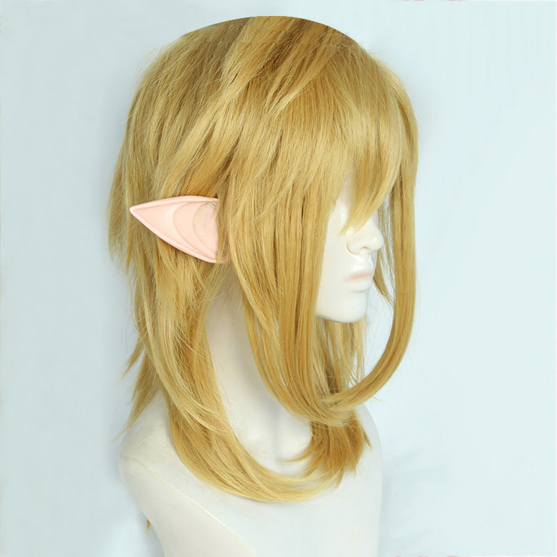 TLOZ: Tears of the Kingdom Link Cosplay Wig