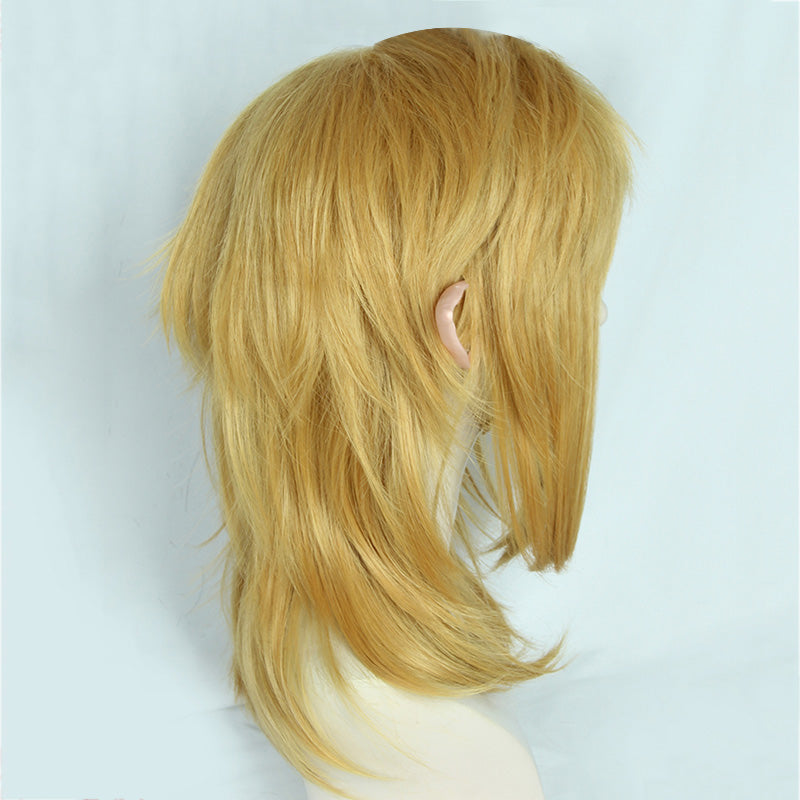 TLOZ: Tears of the Kingdom Link Cosplay Wig