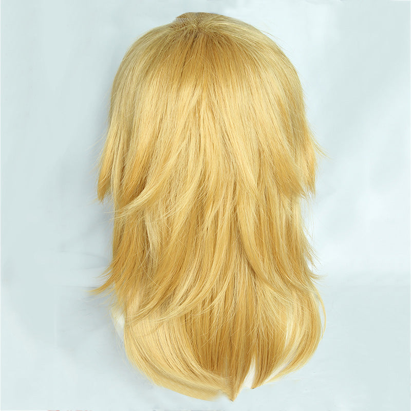 TLOZ: Tears of the Kingdom Link Cosplay Wig