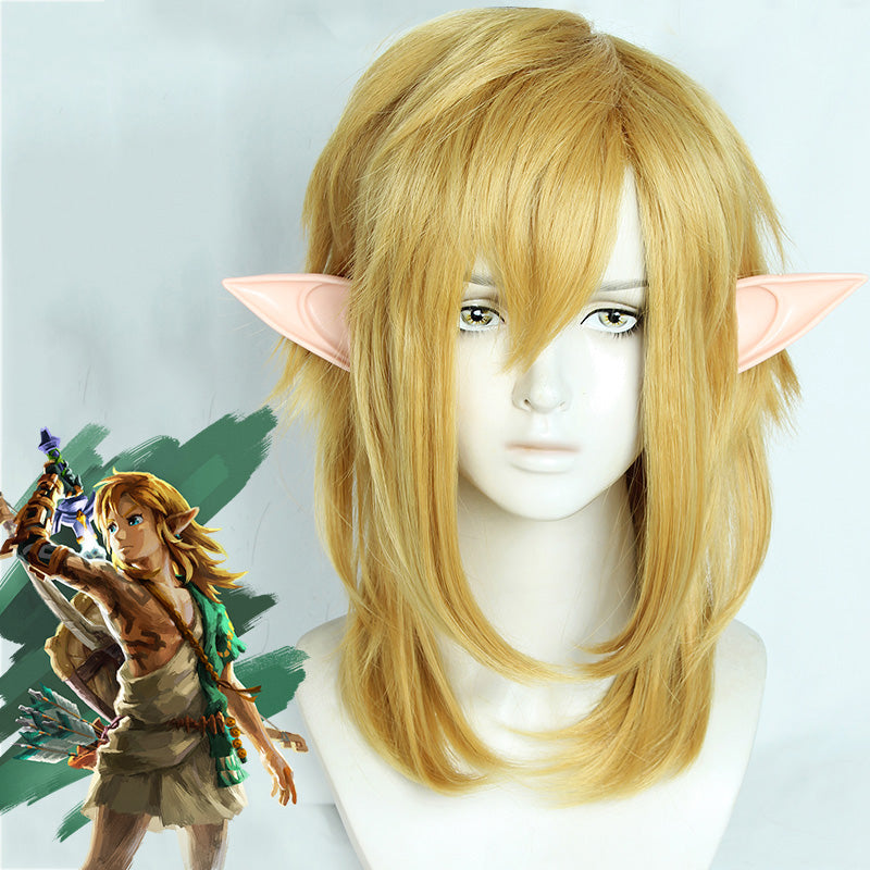The Legend of Zelda Tears of the Kingdom Link Cosplay Wig Winkcosplay