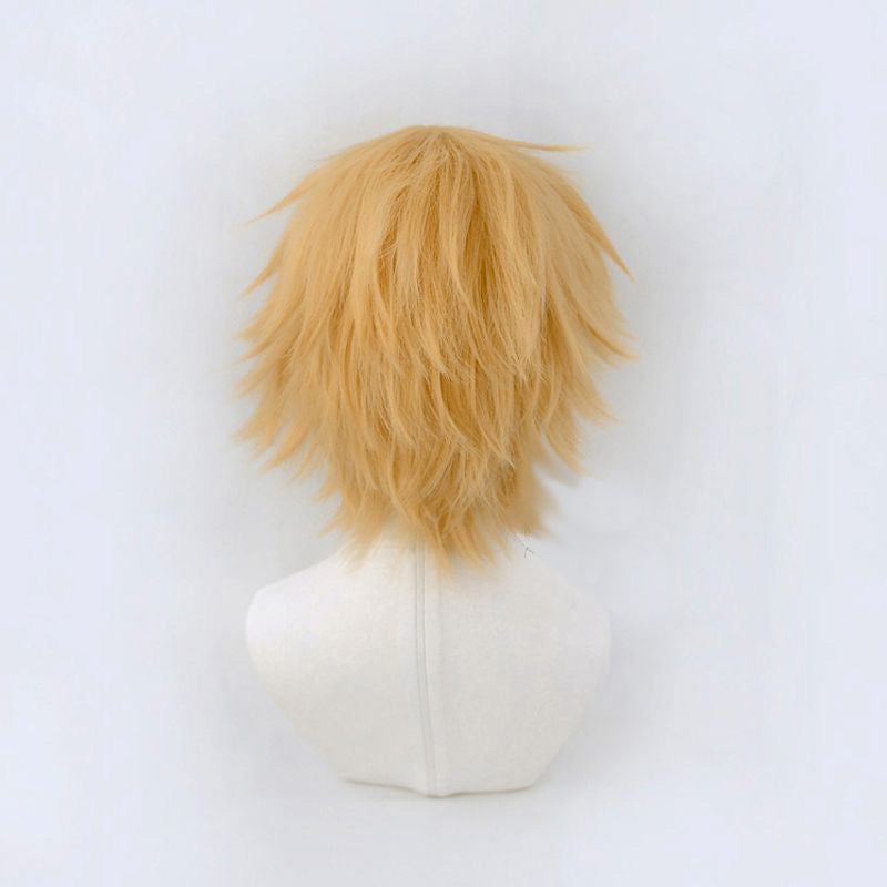 Wind Breaker Akihiko Nirei Cosplay Wig