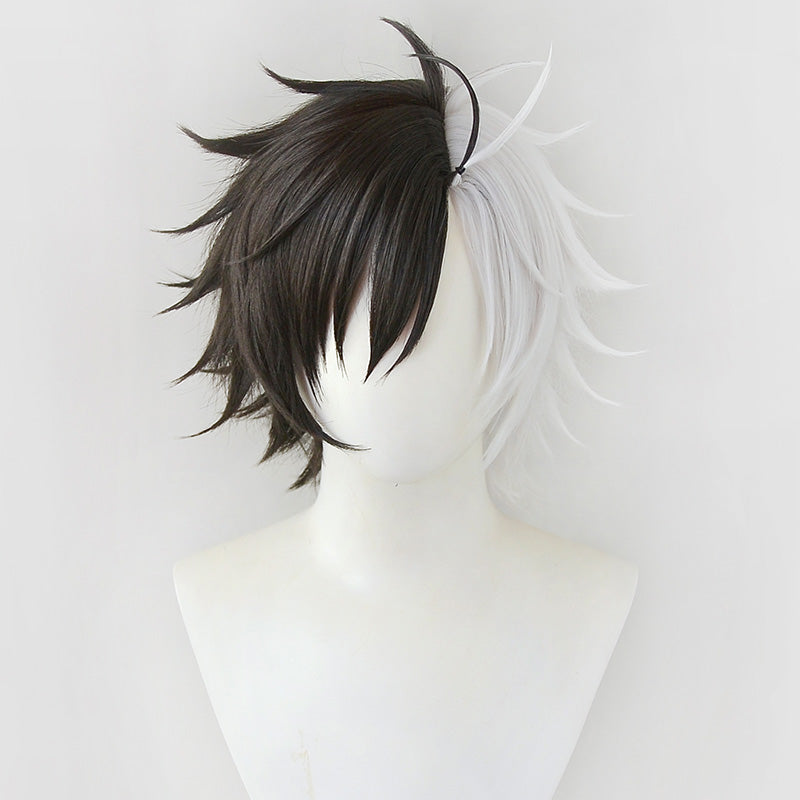 Wind Breaker Haruka Sakura Cosplay Wig