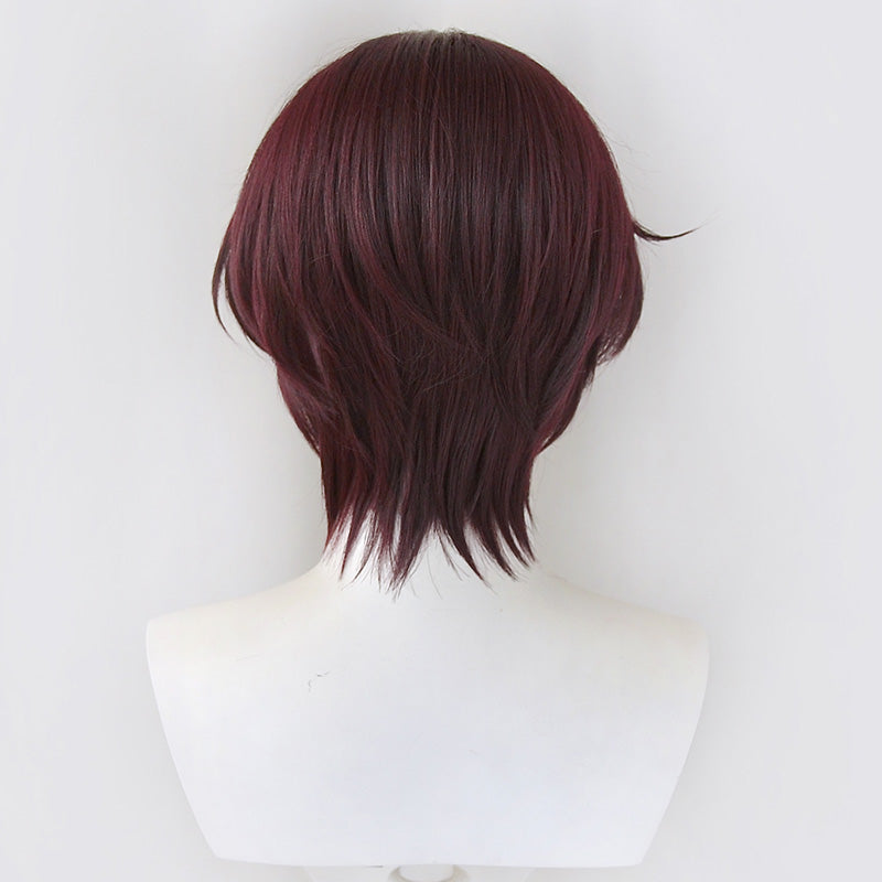 Wind Breaker Hayato Suo Cosplay Wig – Winkcosplay