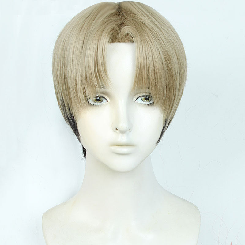 Chainsaw Man Kishibe Cosplay Wig