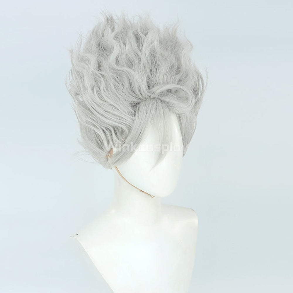 Anime Hot Gray Cosplay Wig
