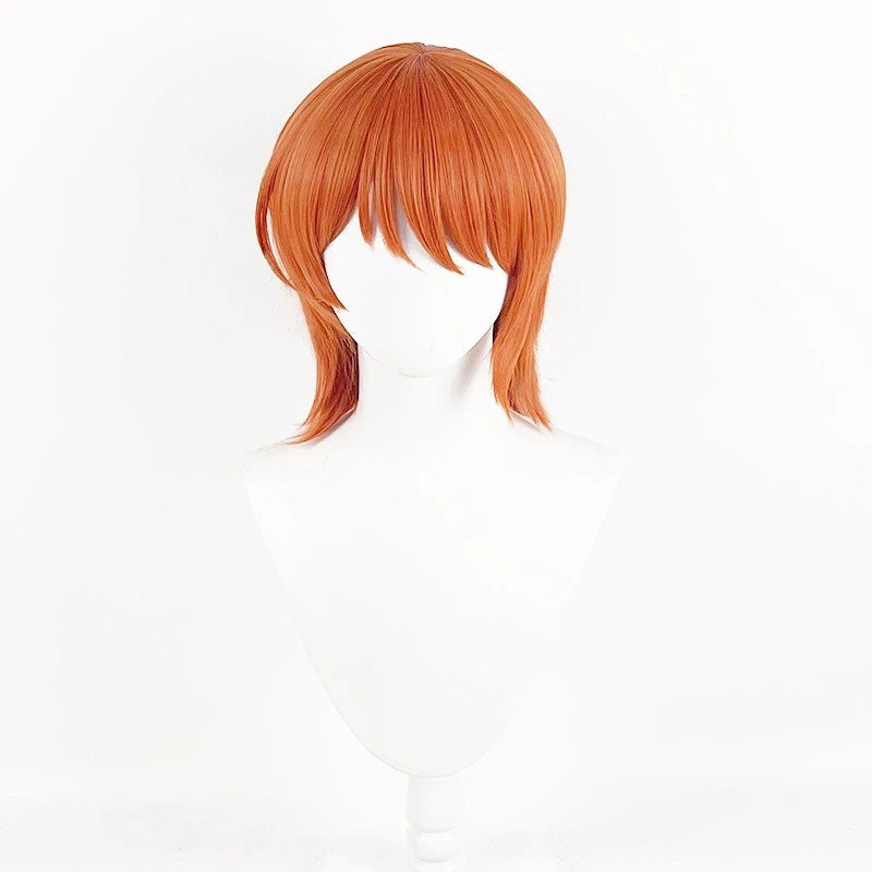 One Piece Nami Cosplay Wig