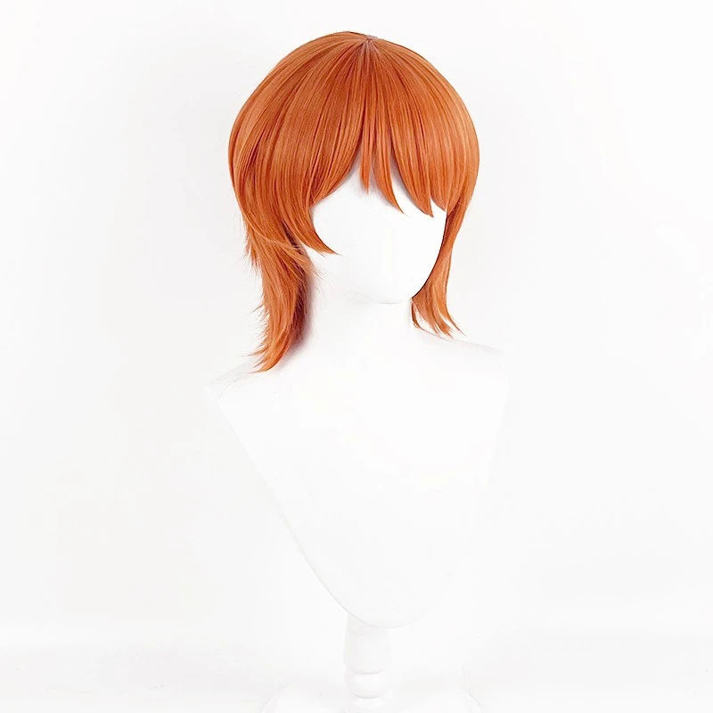 One Piece Nami Cosplay Wig