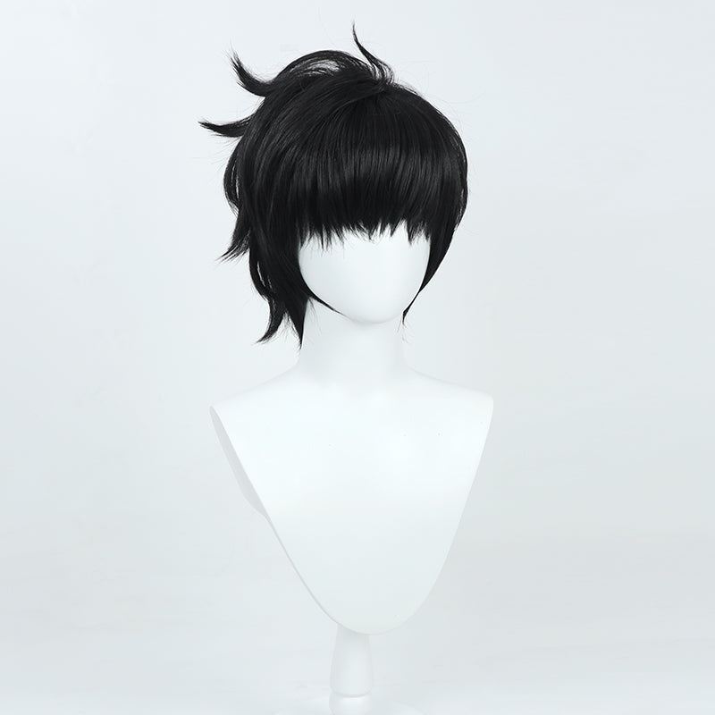 Solo Leveling Sung Jinwoo Cosplay Wig