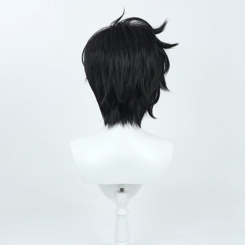 Solo Leveling Sung Jinwoo Cosplay Wig