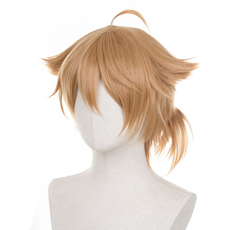 Virtual YouTuber Fushimi Gaku Cosplay Wig